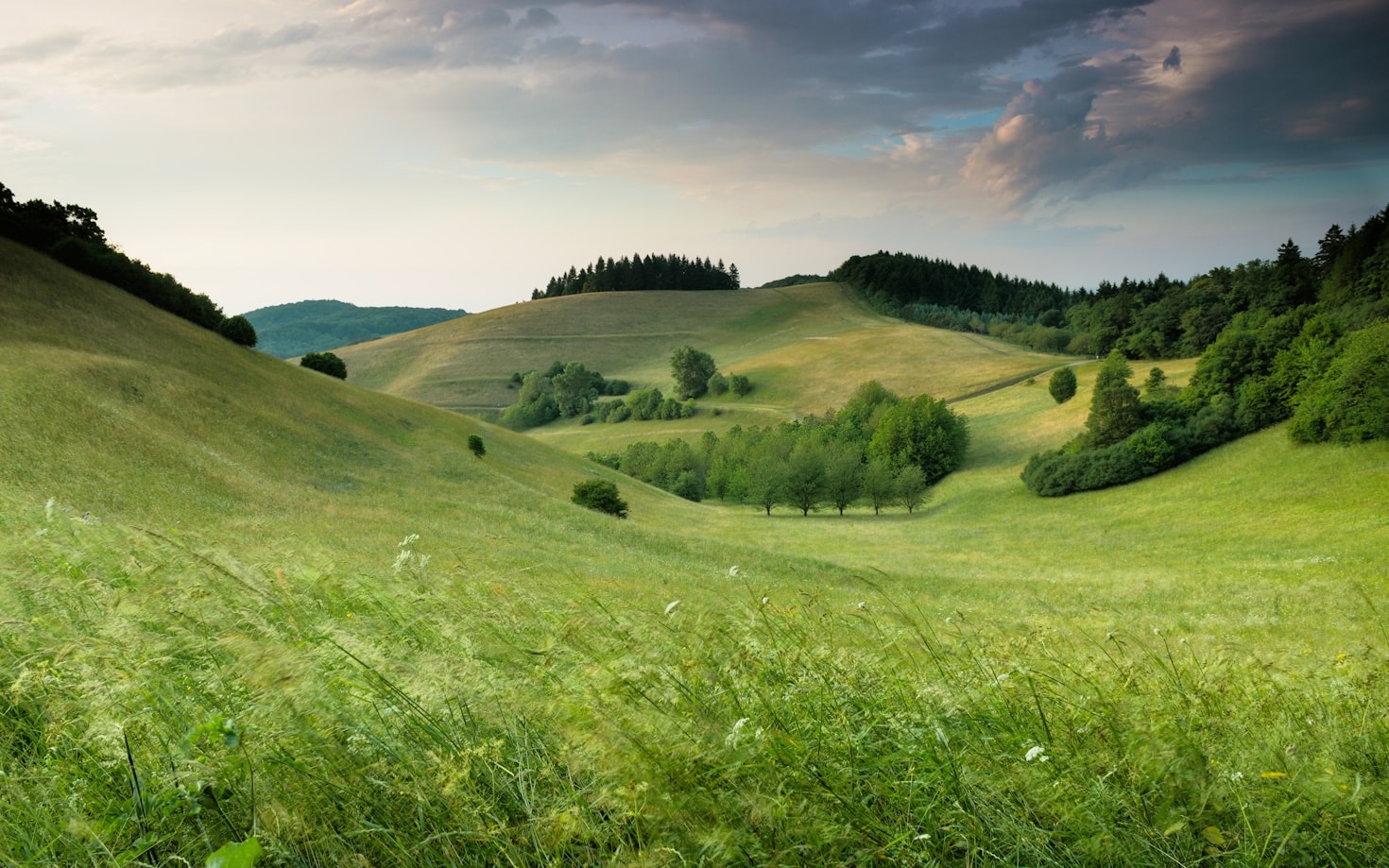 Nachhaltig wohnen: Häuser in der Natur